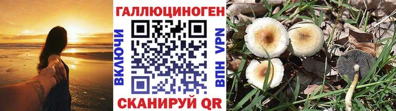Галлюциногенные грибы прущие грибы  shop наркотические препараты  Уссурийск  mega ТОР 