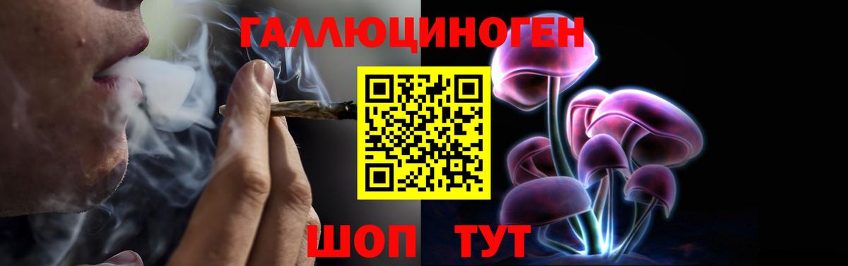 закладки  Псилоцибиновые грибы GOLDEN TEACHER  Уссурийск  Псилоцибиновые грибы Psilocybine cubensis 