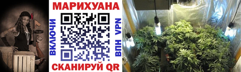 omg как войти  Уссурийск  Бошки марихуана THC 21% 